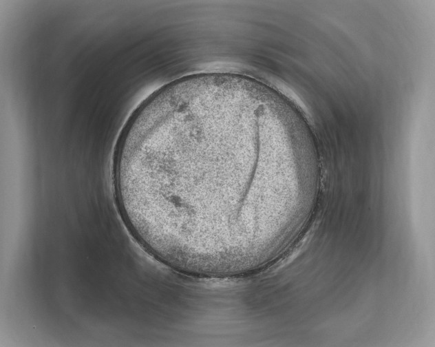 X0000111041087200907231530