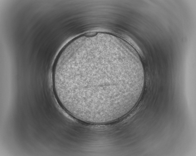 X0000111041092200907231530