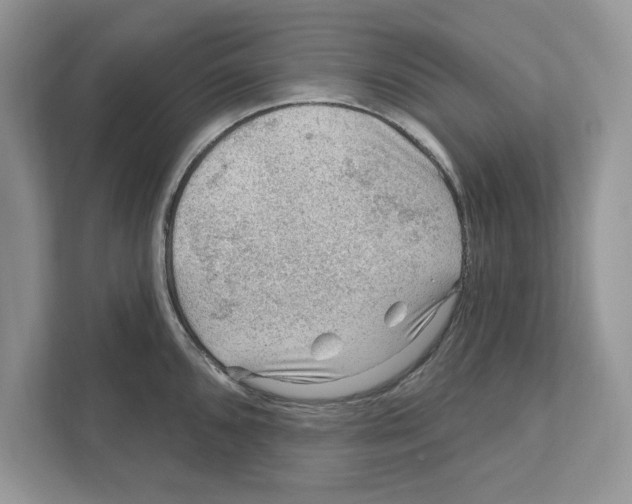 X0000111041096200907231530