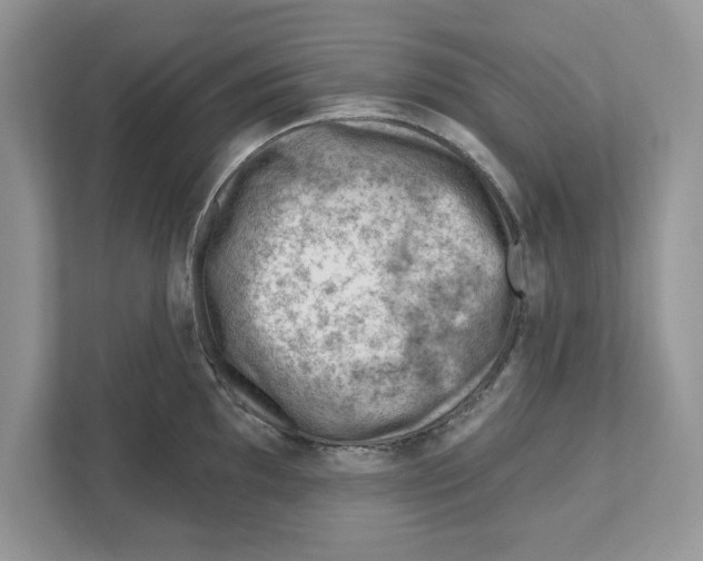 X0000111041097200907231530