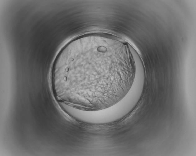 X0000111041098200907231530