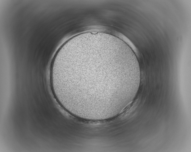 X0000111041099200907231530