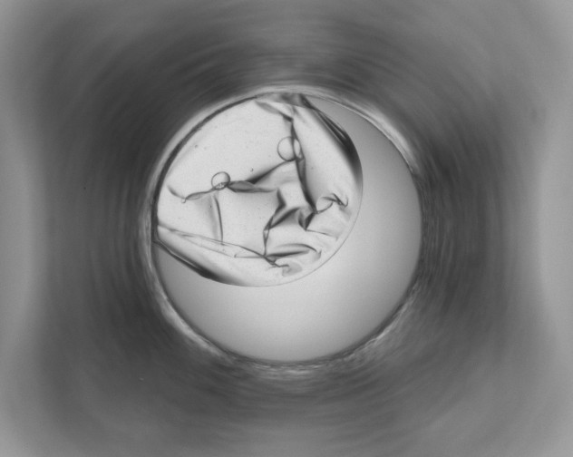 X0000111041100200907231530