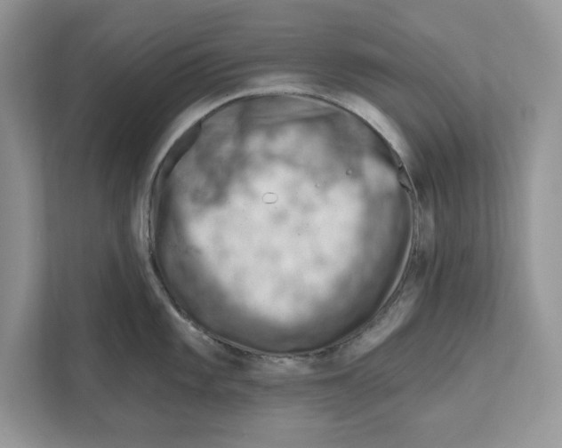 X0000111041101200907231530