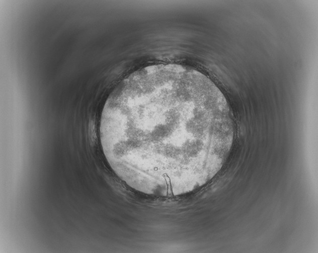 X0000111041106200907231530