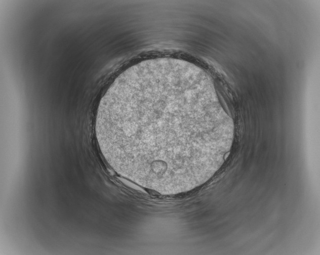 X0000111041110200907231530