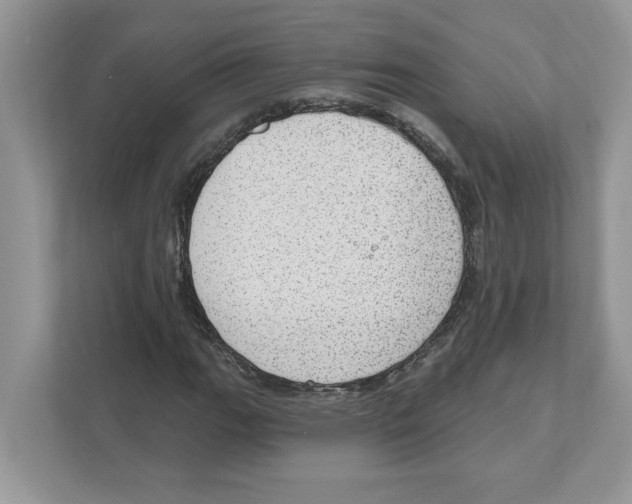 X0000111041111200907231530