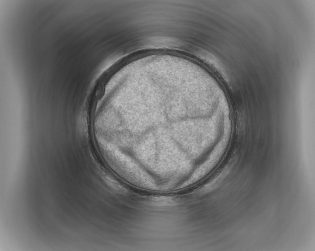 X0000111041114200907231530