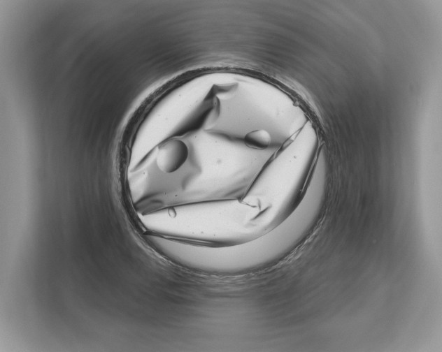 X0000111041120200907231530