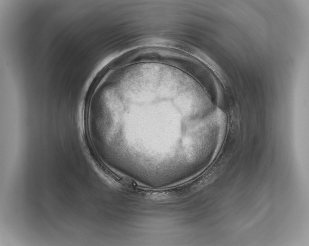 X0000111041128200907231530