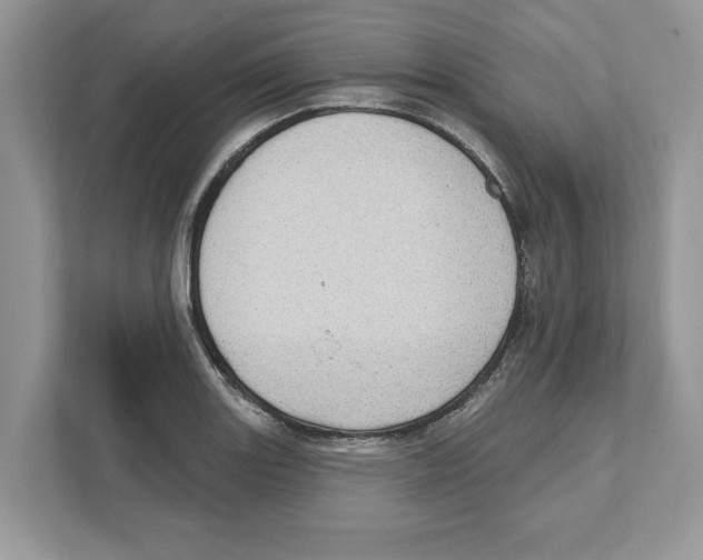 X0000111041131200907231530