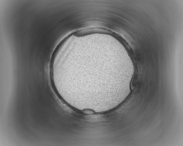 X0000111041134200907231530