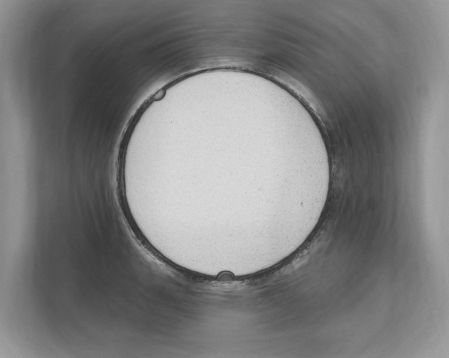 X0000111041135200907231530