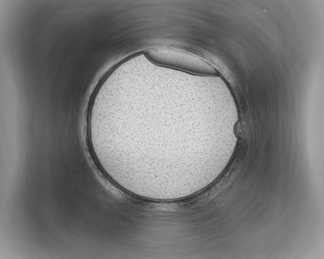 X0000111041136200907231530