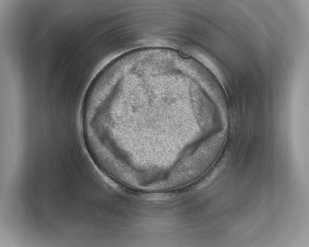 X0000111041141200907231530