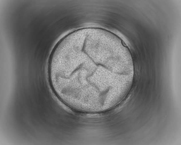 X0000111041142200907231530