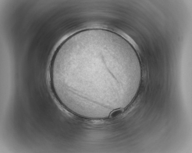 X0000111041144200907231530