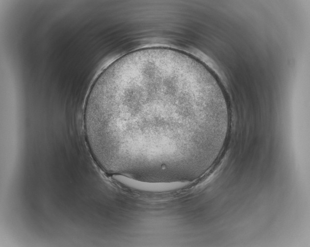 X0000111041145200907231530