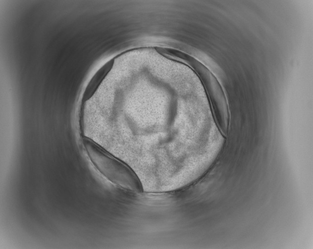 X0000111041152200907231530