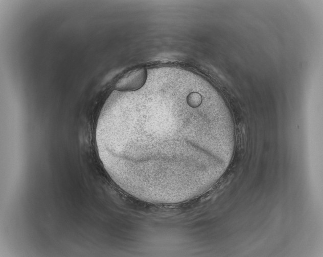 X0000111041158200907231530