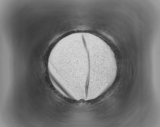 X0000111041160200907231530