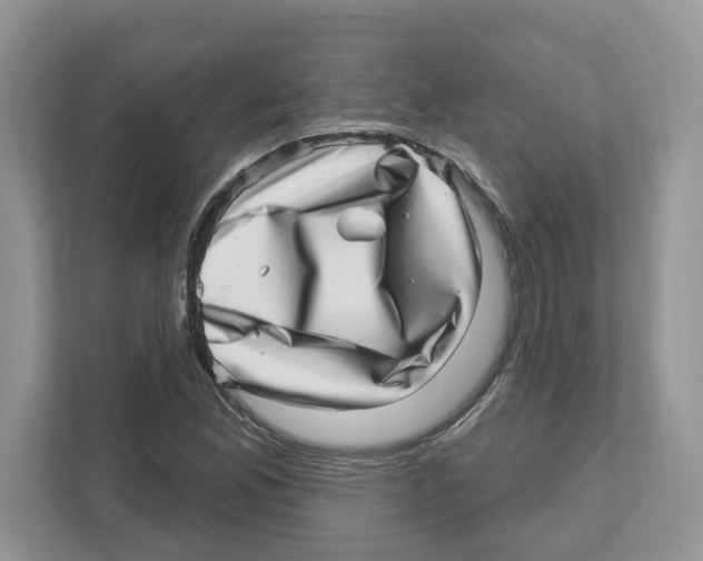 X0000111041165200907231529