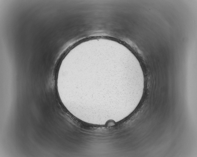 X0000111041167200907231529