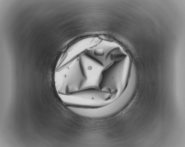 X0000111041169200907231529