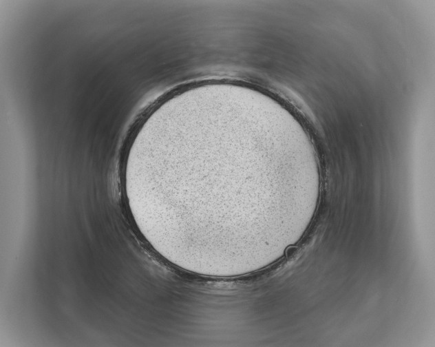 X0000111041172200907231529