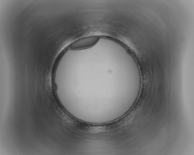 X0000111041173200907231529