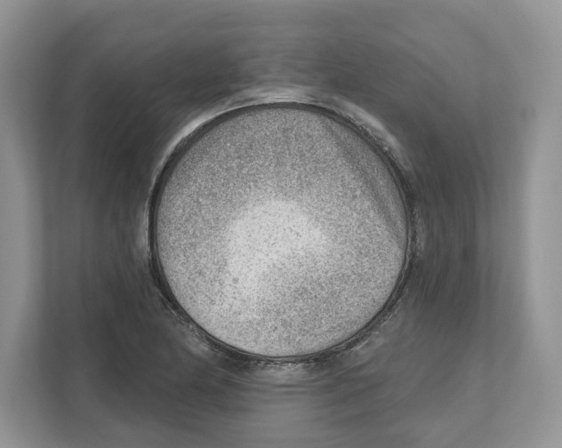 X0000111041174200907231529