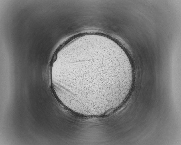 X0000111041175200907231529