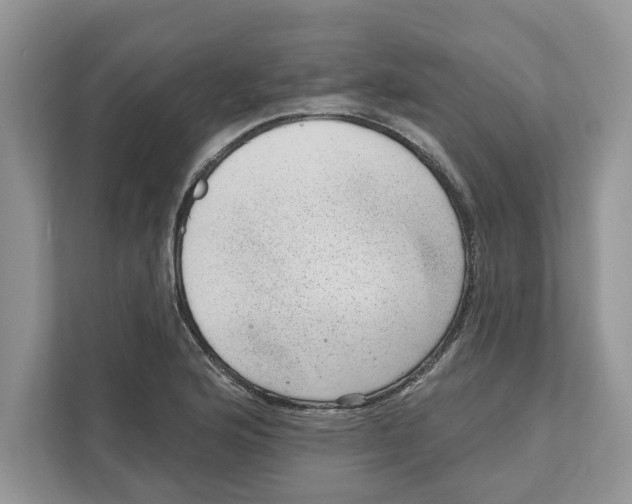 X0000111041176200907231529