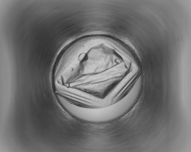 X0000111041181200907231529