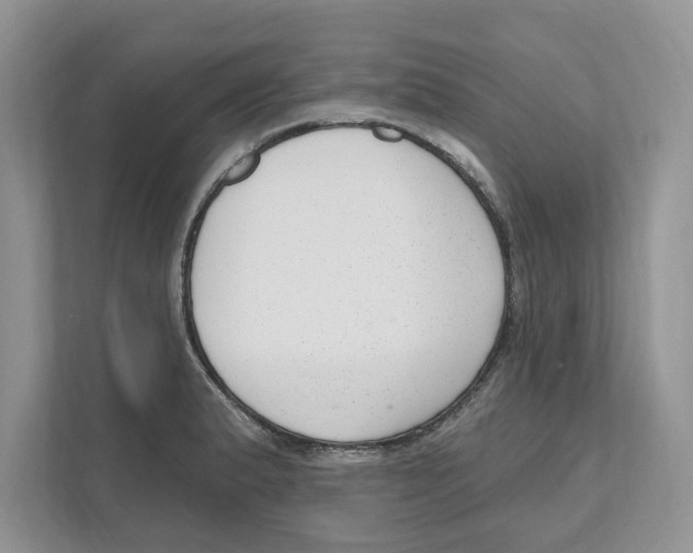 X0000111041183200907231529