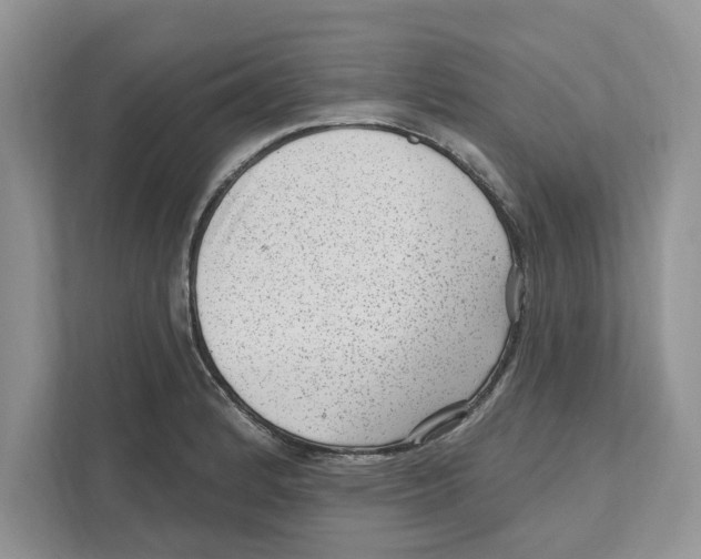 X0000111041184200907231529