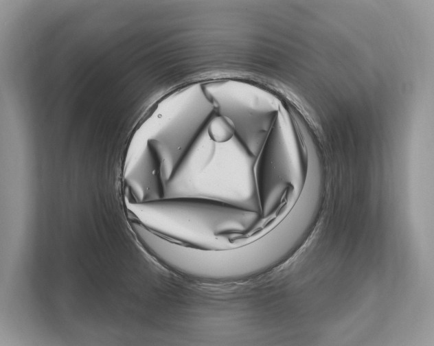 X0000111041185200907231529