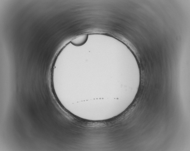 X0000111041187200907231529