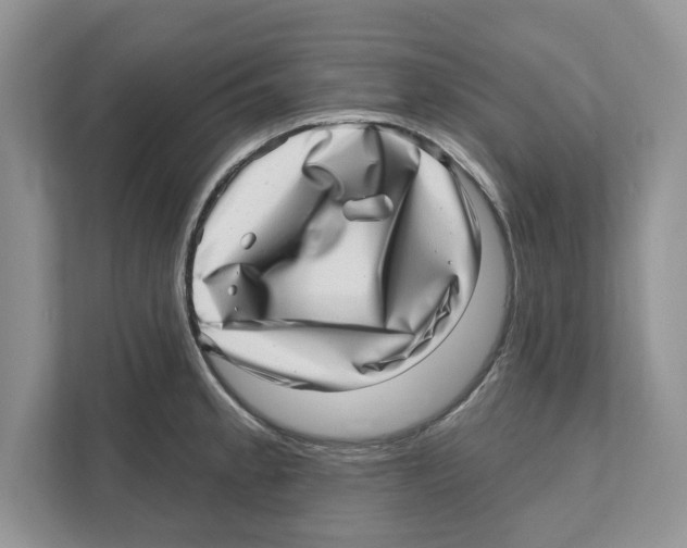 X0000111041189200907231529