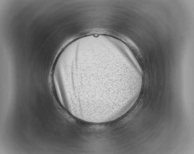 X0000111041190200907231529