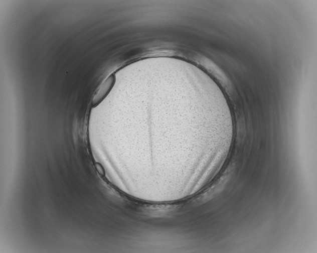 X0000111041193200907231529