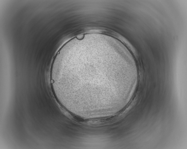 X0000111041194200907231529