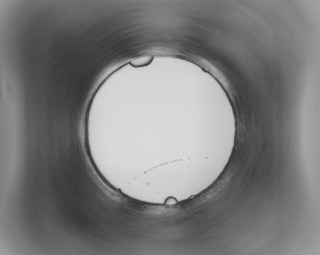 X0000111041195200907231529