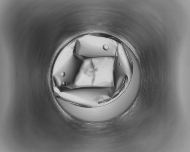 X0000111041197200907231529