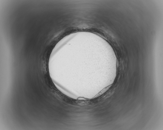 X0000111041205200907231528