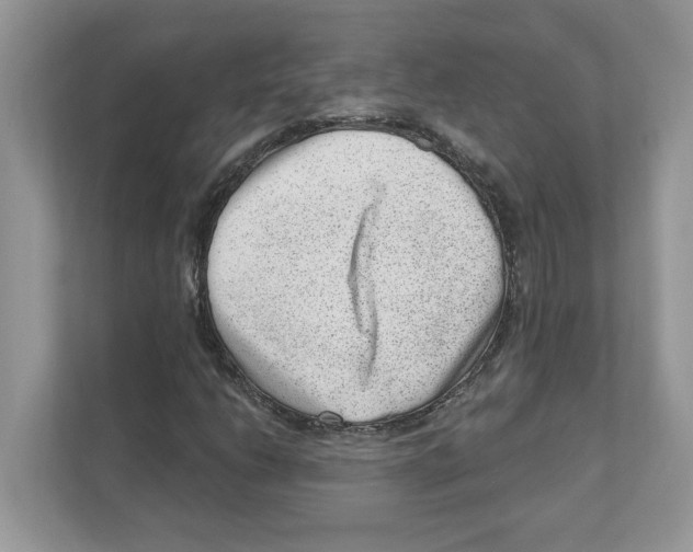 X0000111041206200907231528