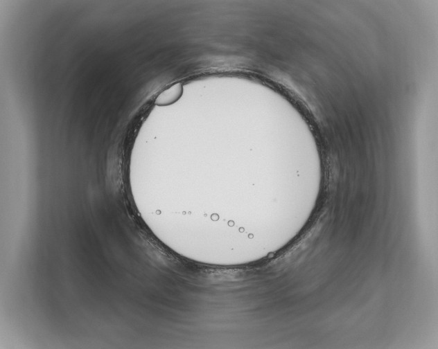 X0000111041211200907231528