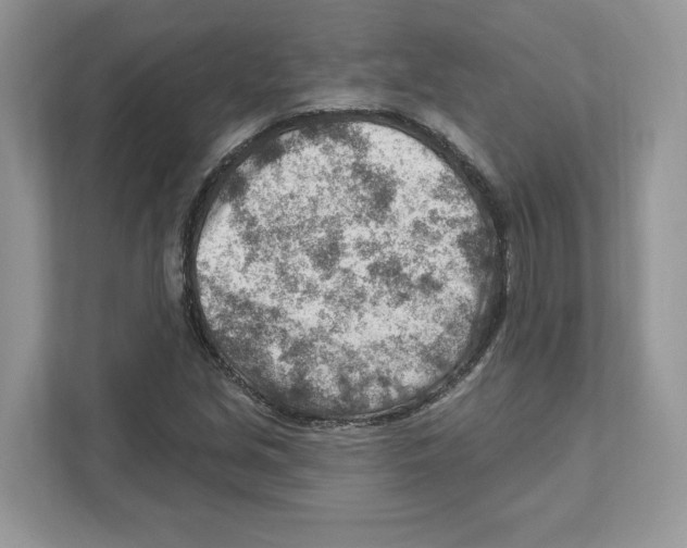 X0000111041213200907231528