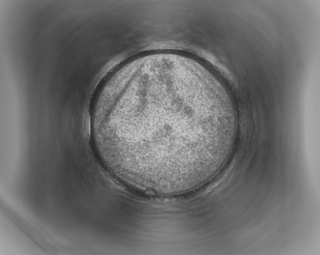 X0000111041221200907231528