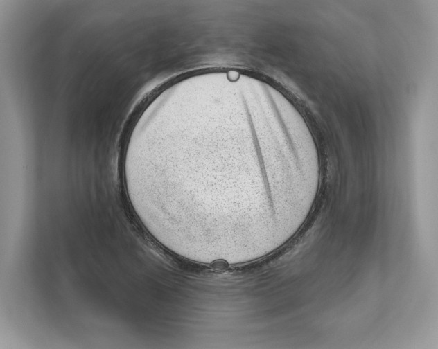 X0000111041222200907231528